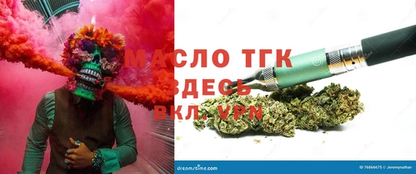 сатива Абинск