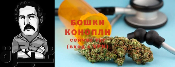 сатива Абинск
