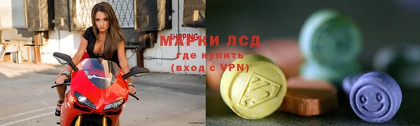 сатива Абинск