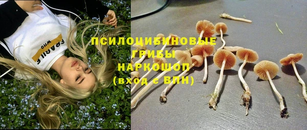 не бодяженный Абдулино