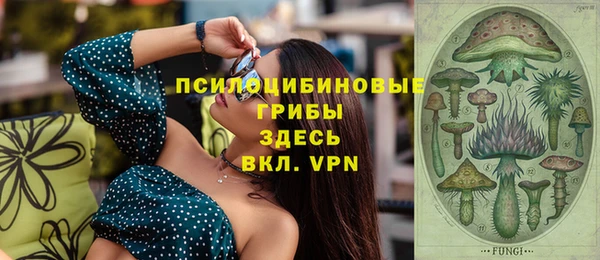 сатива Абинск