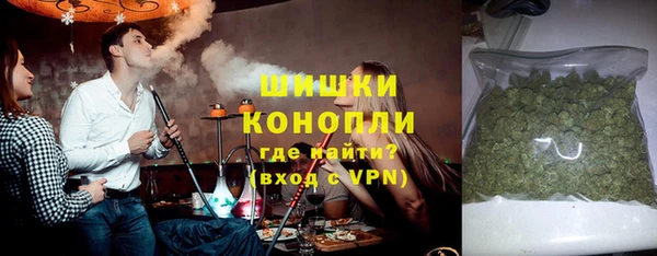 сатива Абинск