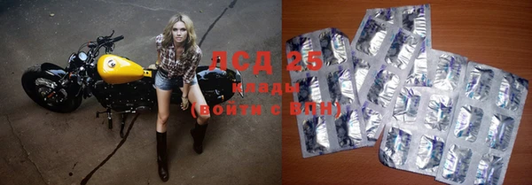 сатива Абинск