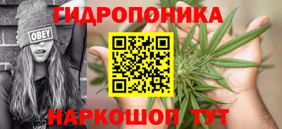 наркотики Будённовск