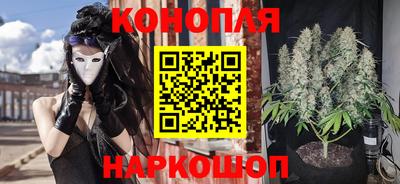 сатива Бийск