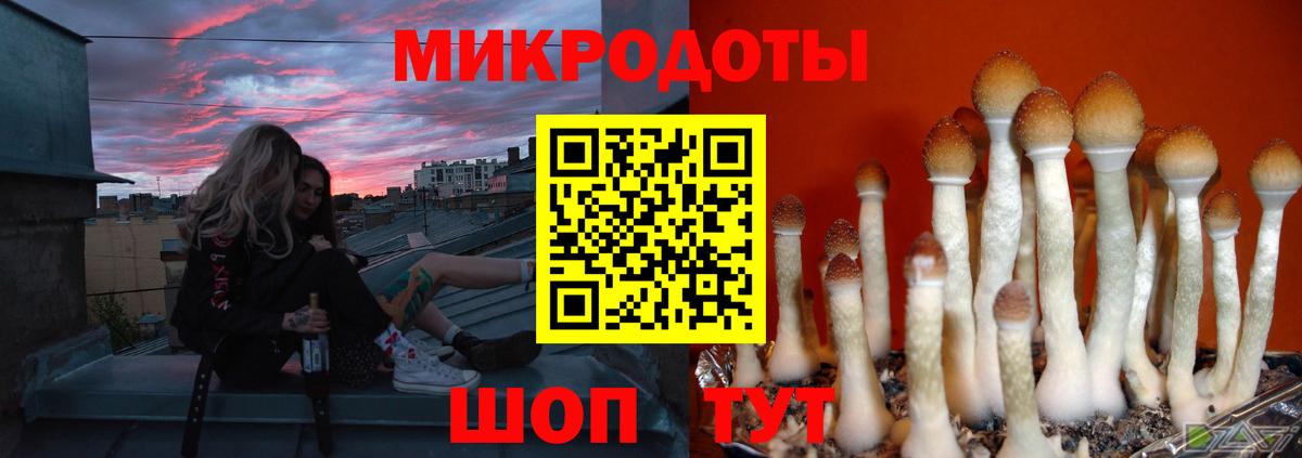 Псилоцибиновые грибы MAGIC MUSHROOMS  Вход с VPN  Кизляр 